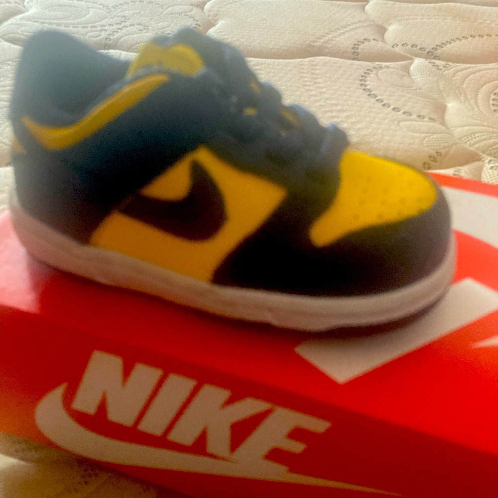 Michigan Nike Dunks! Toddler size 5!